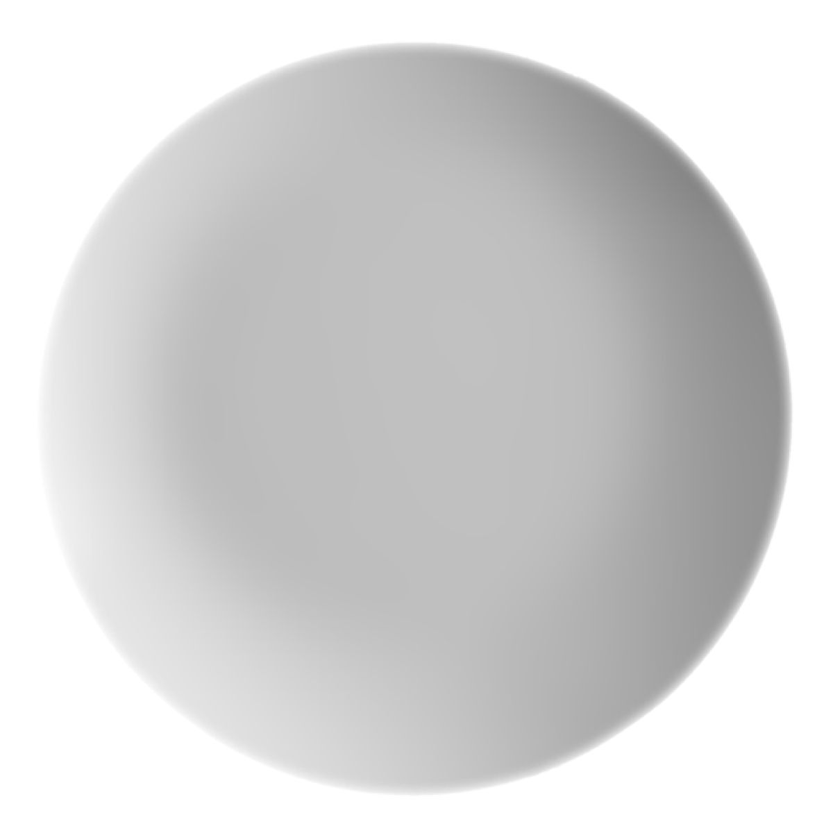 Draufsicht auf den weißen Porzellanteller Isabelle 30 cm mit glatter Oberfläche und breiter flacher Form.