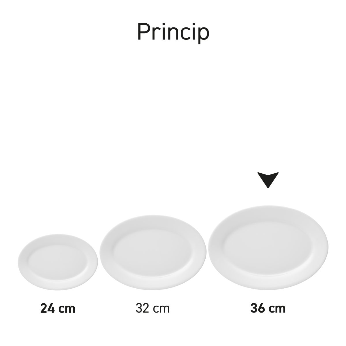 Übersicht über die Serie der Porzellanschalen Princip.