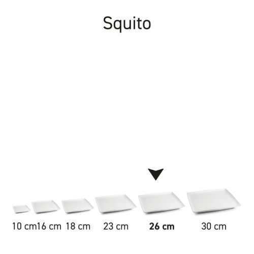 Serie von quadratischen Squito-Tellern aus Porzellan, Übersicht über mehrere zusammen.