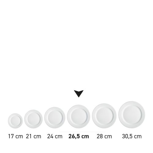 Teller mit breitem Rand (26,5 cm) aus weißem Porzellan, in einer Serie mit mehreren Exemplaren nebeneinander ausgestellt