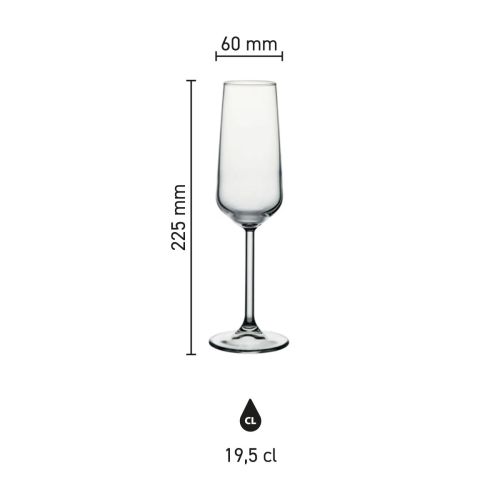 Übersichtsbild mit den Abmessungen der Champagnerglas 19,5 cl Allegra einschließlich Höhe und Fassungsvermögen.
