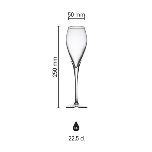 Infografik mit den Größenangaben der Monte Carlo Champagnerflöte 22,5 cl aus Glas.