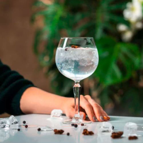 Gin-Tonic-Glas Spksy 58 cl Glas in Gebrauch, gehalten oder serviert in einer Gastfreundschaft Einstellung