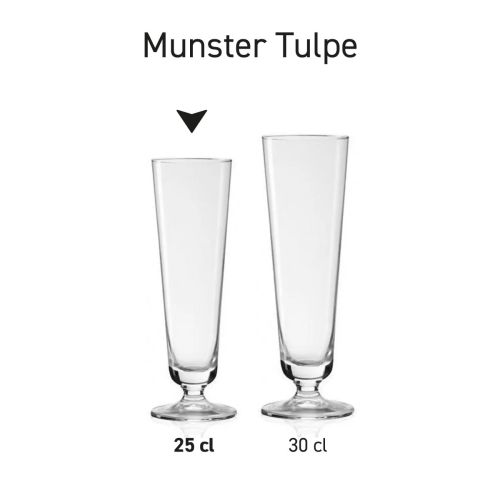 Munster Tulpe 25 cl Entwurfsgröße Glas in Serie, mehrere Exemplare nebeneinander gezeigt