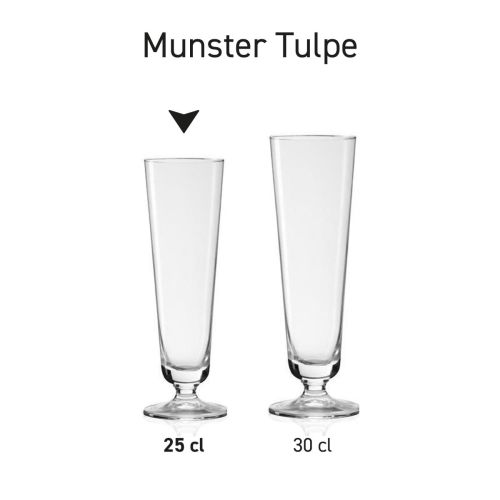 Munster Tulpe 30 cl Entwurfsgröße Glas in Serie, mehrere Exemplare nebeneinander gezeigt