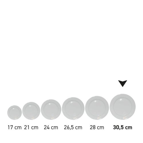 Teller breitem Rand Weiß 30,5 cm. bedrucken