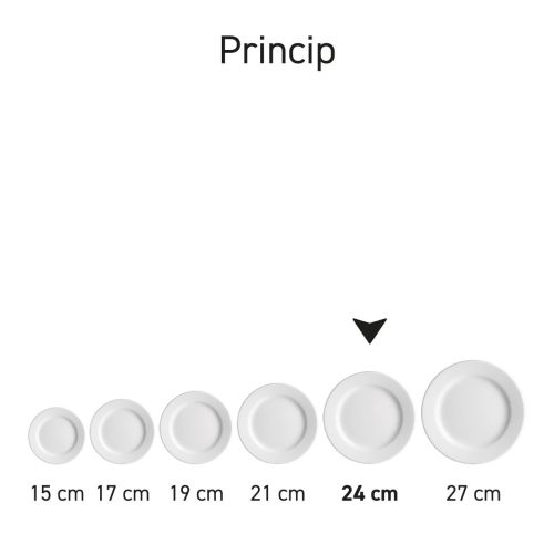 Übersicht über mehrere Teller Princip 24 cm Porzellan in Serie, unterschiedlich im Inhalt. Übersicht über mehrere Teller Princip 24 cm Porzellan in Serie, unterschiedlich im Inhalt.