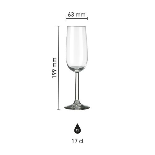 Infografische Übersicht über die Höhe und das Fassungsvermögen der Bouquet Champagnerflöte 17 cl. Infografische Übersicht über die Höhe und das Fassungsvermögen der Bouquet Champagnerflöte 17 cl.