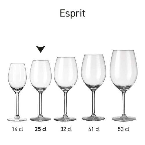 Serienansicht mit mehreren Varianten des Esprit-Glases, die als Serie präsentiert werden. Serienansicht mit mehreren Varianten des Esprit-Glases, die als Serie präsentiert werden.