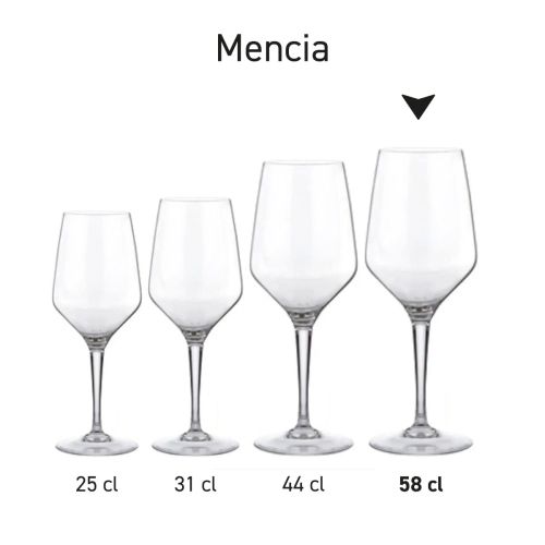 Serienansicht mehrerer Mencia-Weingläser, die in verschiedenen Varianten nebeneinander präsentiert werden. Serienansicht mehrerer Mencia-Weingläser, die in verschiedenen Varianten nebeneinander präsentiert werden.