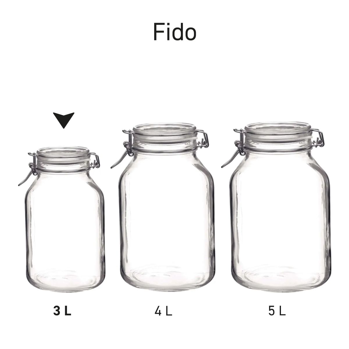 Mehrere Weck-Gläser Fido nebeneinander auf dem Bild als Reihenanordnung.