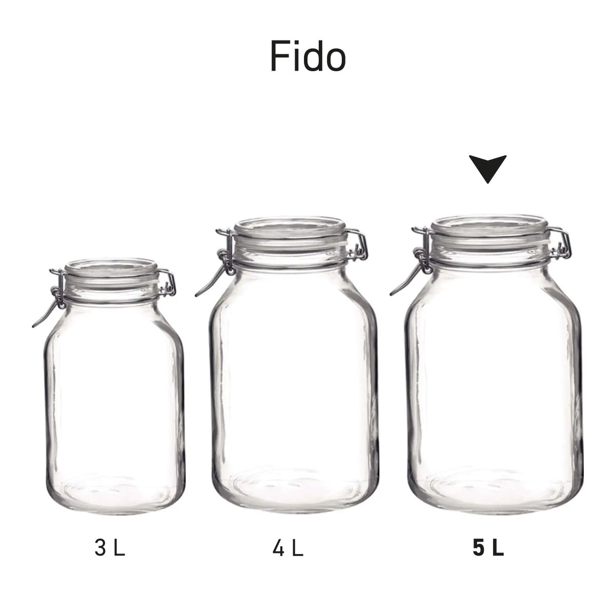 Serie von Weck-Gläsern, die Fido nebeneinander als Übersicht präsentiert.